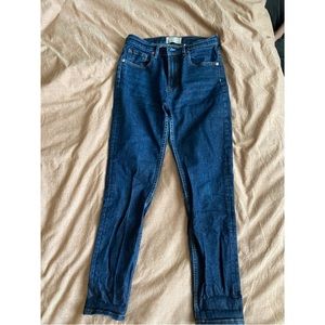 Everlane High-Rise Skinny Jean